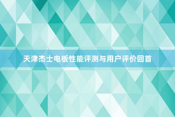 天津杰士电板性能评测与用户评价回首